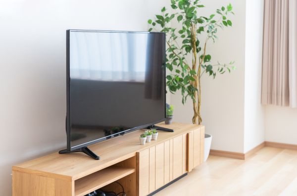 TV Stand Assembly in Palatine